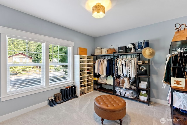 191 E Sterling Dr, Allyn, WA 98524 - spacious closet with carpet floors