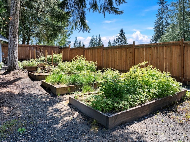 191 E Sterling Dr, Allyn, WA 98524 - fenced backyard with a garden