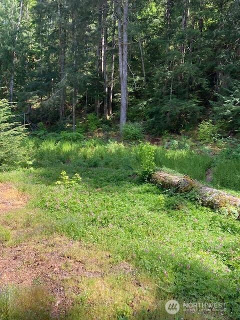 61 N Goldeneye Pl, Hoodsport, WA 98548 - photo 5