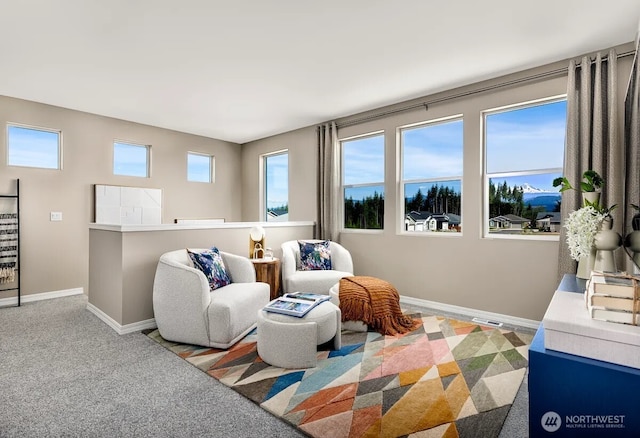 sitting room featuring baseboards and carpet floors