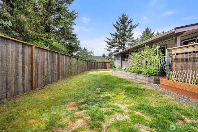 view of yard