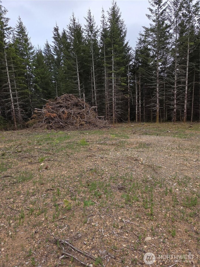 490 E Pinedirosa Rd Unit B, Union, WA 98592