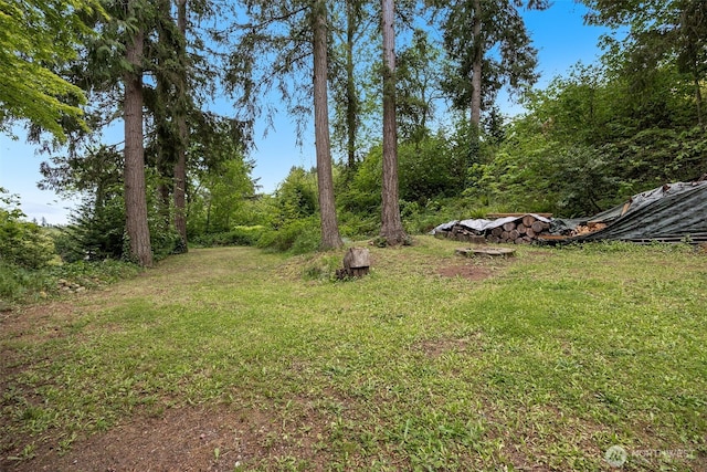 24625 148th Ave SE, Kent, WA 98042 - photo 28
