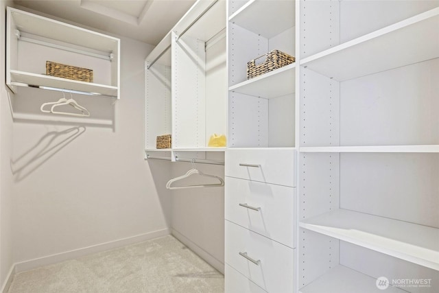 9752A Holman Rd NW, Seattle, WA 98117 - walk in closet featuring light carpet