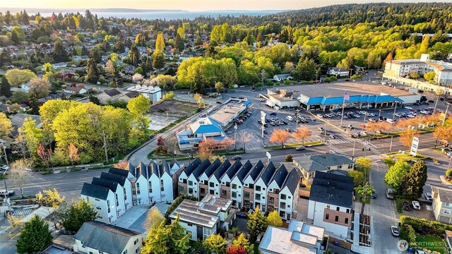 9752A Holman Rd NW, Seattle, WA 98117 - drone / aerial view