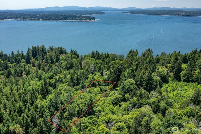 123 72nd Street Ct SW, Longbranch, WA 98351