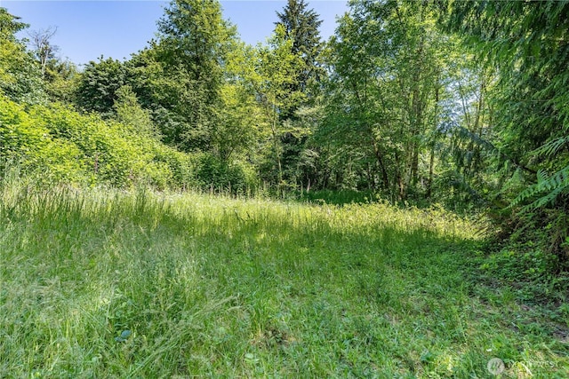 123 72nd Street Ct SW, Longbranch, WA 98351