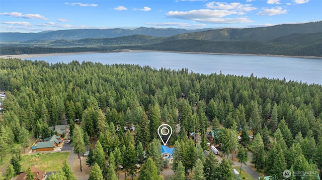 60 Spruce Ln, Ronald, WA 98940 - aerial view of a water and mountain view and a forest