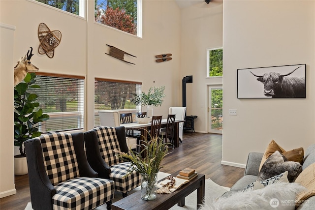 60 Spruce Ln, Ronald, WA 98940 - living area with a high ceiling, dark wood-type flooring, and baseboards