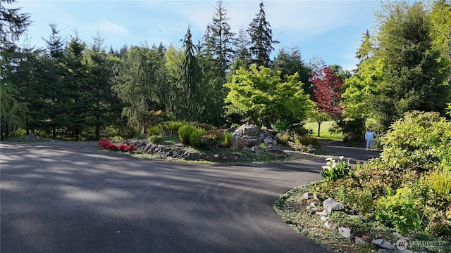 8144 Todderjen Ln SW, Olympia, WA 98512 - view of road