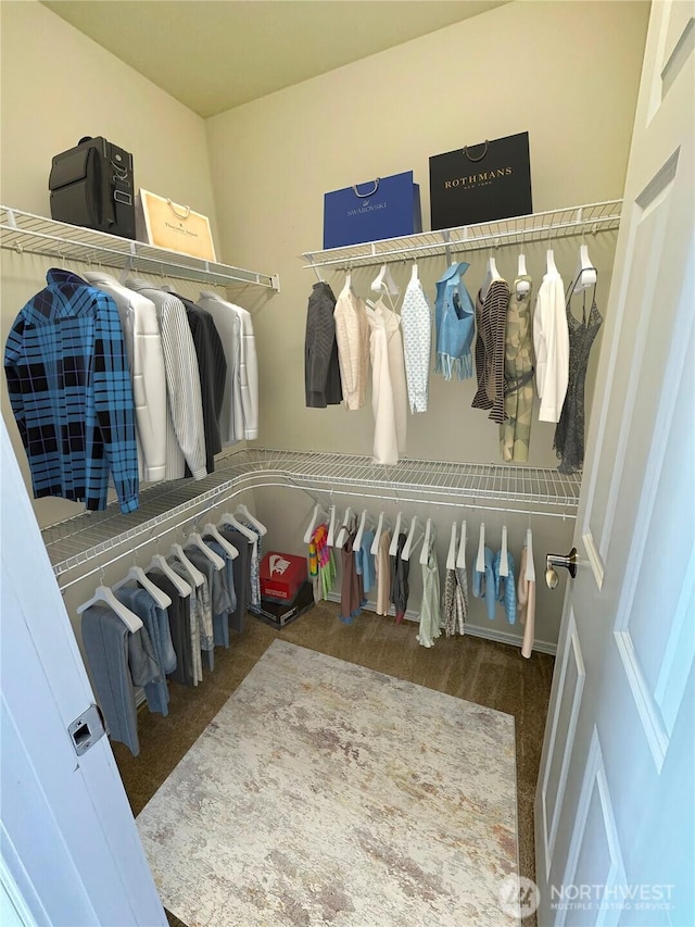spacious closet featuring carpet floors
