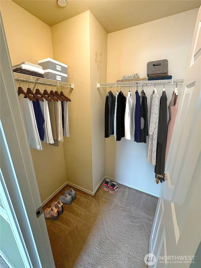 spacious closet featuring carpet flooring