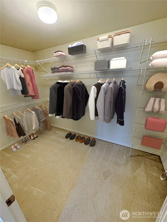 spacious closet with carpet