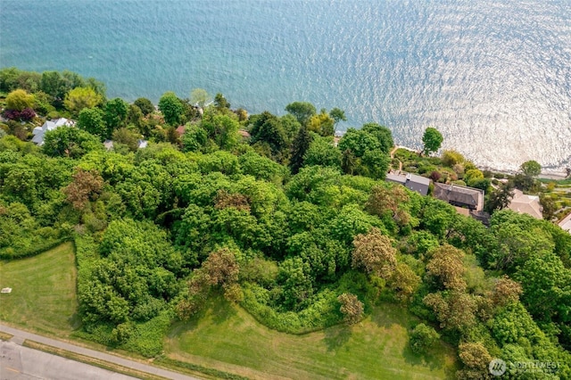 1974 Perkins Ln W, Seattle, WA 98199 - photo 4