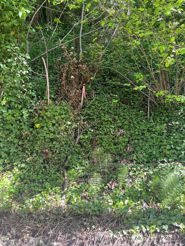 1974 Perkins Ln W, Seattle, WA 98199 - photo 17