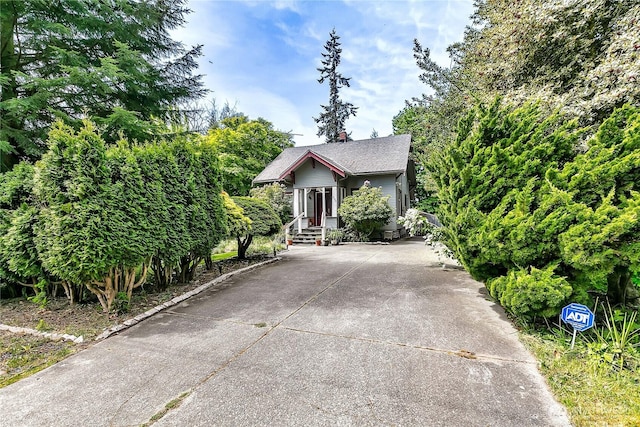 view of property hidden behind natural elements featuring concrete driveway