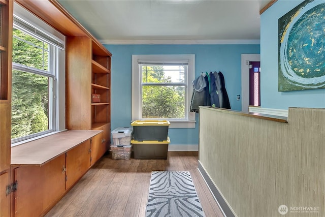 interior space with hardwood / wood-style flooring, crown molding, and baseboards