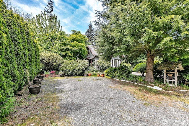 view of yard