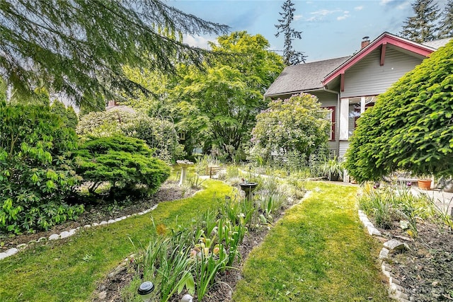 view of green lawn