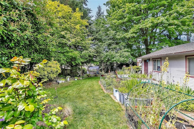 view of yard with a vegetable garden