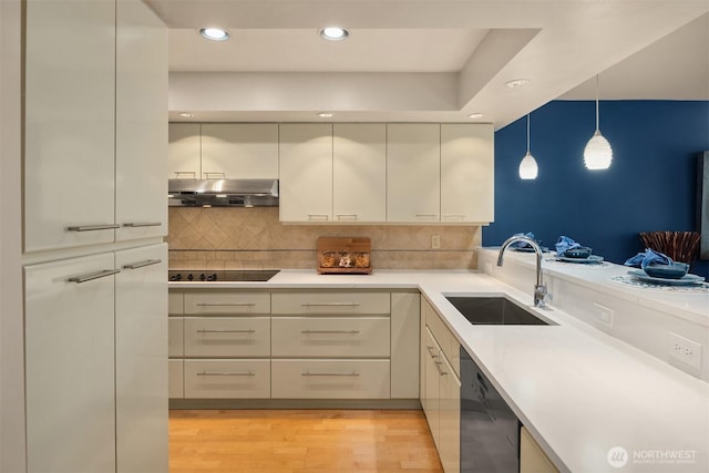 2400 Aurora Ave N Unit 202, Seattle, WA 98109 - kitchen featuring a sink, under cabinet range hood, dishwashing machine, tasteful backsplash, and light countertops