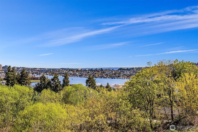 2400 Aurora Ave N Unit 202, Seattle, WA 98109 - water view