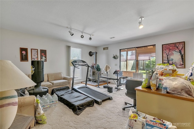 15915 SE 166th Pl, Renton, WA 98058 - exercise area featuring rail lighting, carpet floors, and a textured ceiling