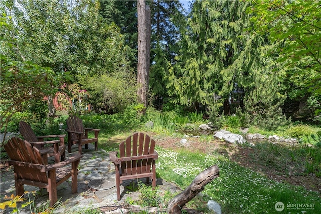 1503 Z St, Port Townsend, WA 98368 - view of yard