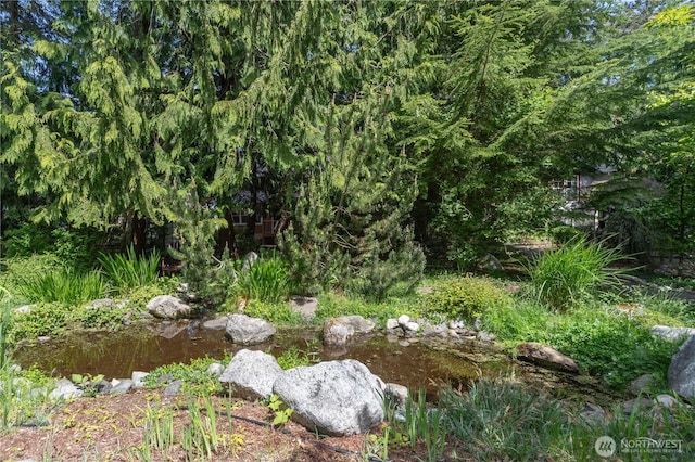 1503 Z St, Port Townsend, WA 98368 - view of local wilderness