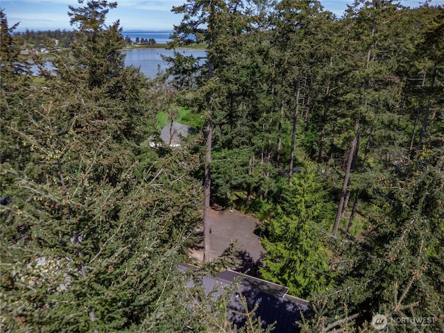 1503 Z St, Port Townsend, WA 98368 - bird's eye view of a nearby body of water