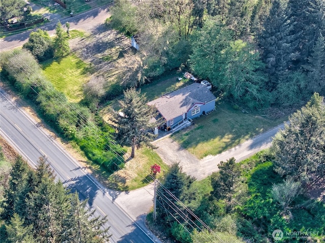 1510 144th Ln, Long Beach, WA 98631 - view from above of property