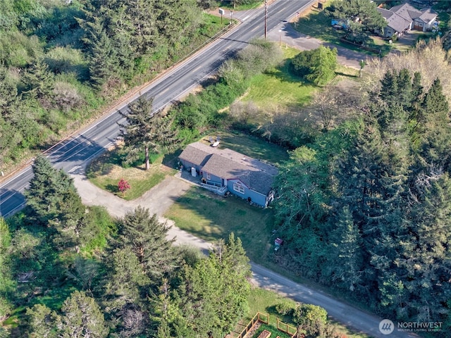 1510 144th Ln, Long Beach, WA 98631 - aerial view of property's location