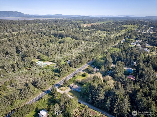 1510 144th Ln, Long Beach, WA 98631 - aerial view of property's location featuring a forest and a mountainous background