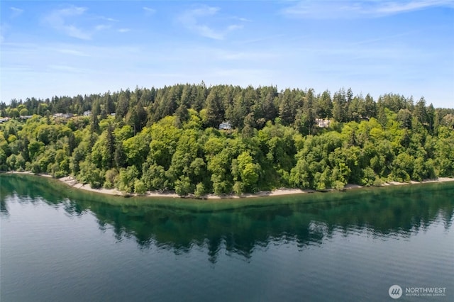 10121 Totem Way, Anderson Island, WA 98303