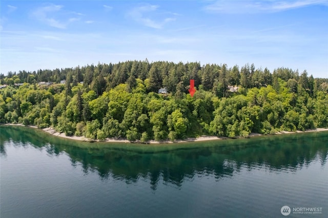 10121 Totem Way, Anderson Island, WA 98303