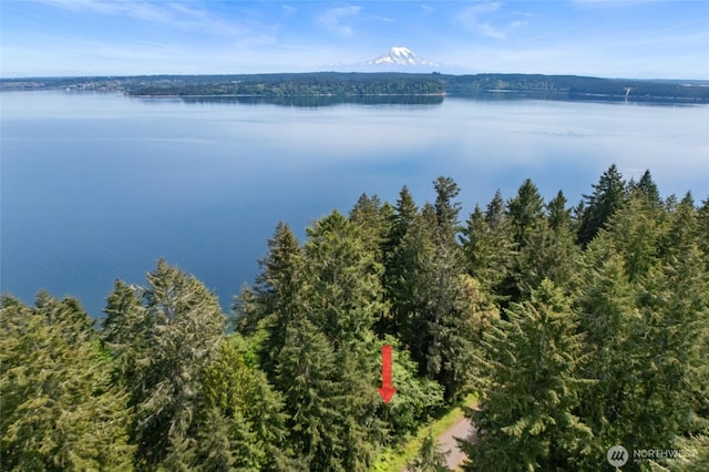 10121 Totem Way, Anderson Island, WA 98303