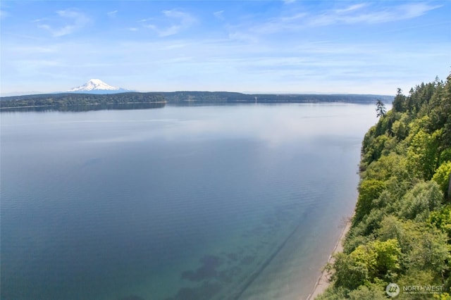 10121 Totem Way, Anderson Island, WA 98303