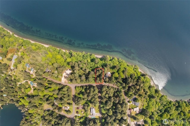 10121 Totem Way, Anderson Island, WA 98303
