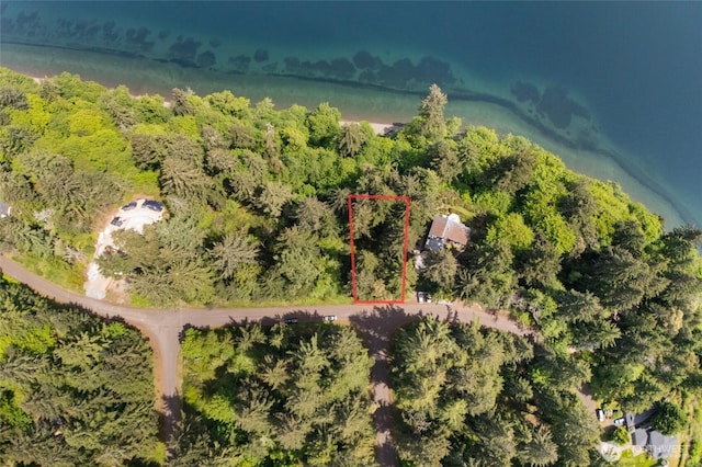 10121 Totem Way, Anderson Island, WA 98303