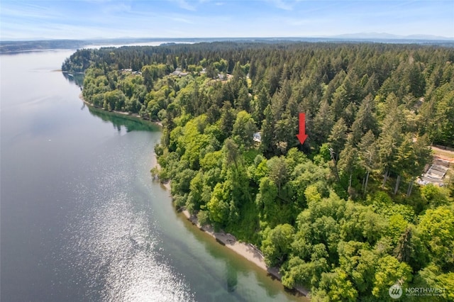 10121 Totem Way, Anderson Island, WA 98303