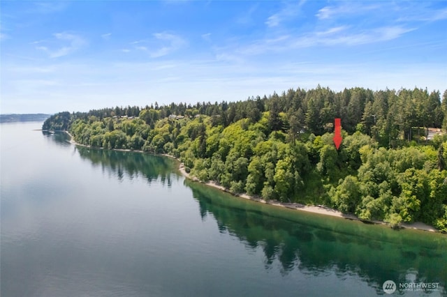 10121 Totem Way, Anderson Island, WA 98303