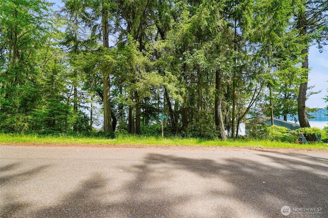 10121 Totem Way, Anderson Island, WA 98303