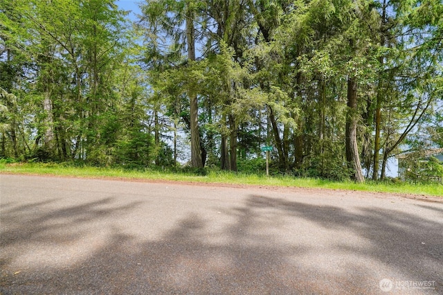 10121 Totem Way, Anderson Island, WA 98303