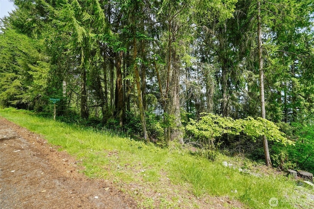 10121 Totem Way, Anderson Island, WA 98303