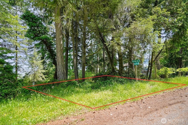 10121 Totem Way, Anderson Island, WA 98303