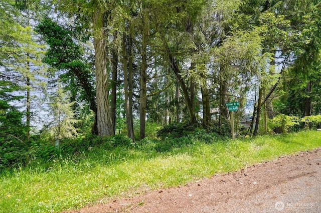 10121 Totem Way, Anderson Island, WA 98303