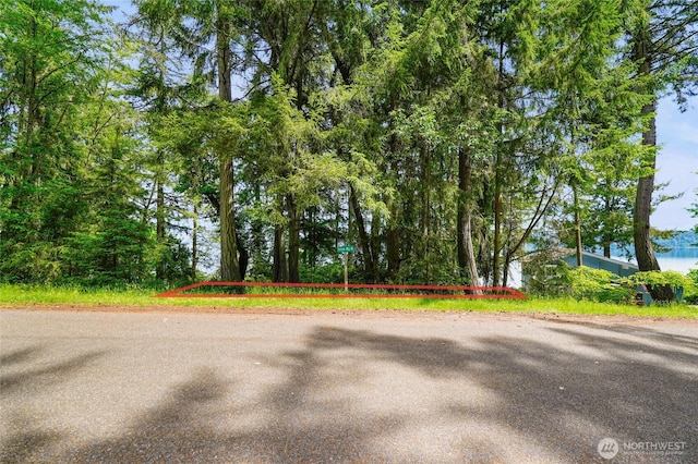 10121 Totem Way, Anderson Island, WA 98303