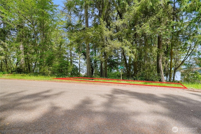 10121 Totem Way, Anderson Island, WA 98303