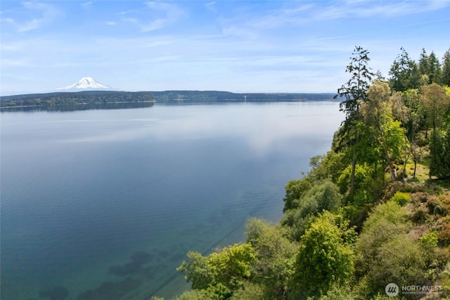 10121 Totem Way, Anderson Island, WA 98303