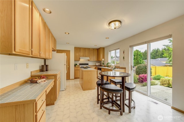 5511 152nd St SE, Everett, WA 98208 - kitchen featuring tile counters, range, dishwasher, freestanding refrigerator, and light flooring